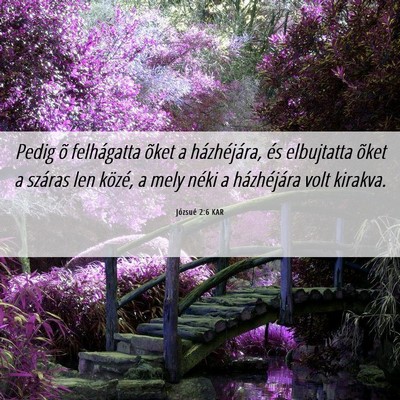 Picture 06 - Józsué 2:6 KAR - Pedig õ felhágatta õket a házhéjára, és - Bible Verse Picture