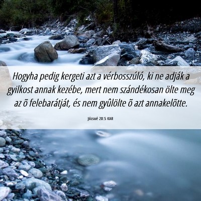Picture 06 - Józsué 20:5 KAR - Hogyha pedig kergeti azt a vérbosszúló, ki ne - Bible Verse Picture