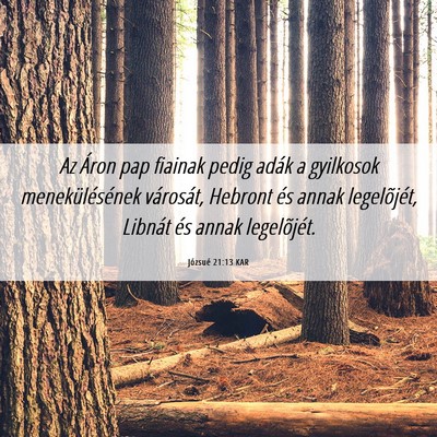 Picture 06 - Józsué 21:13 KAR - Az Áron pap fiainak pedig adák a gyilkosok - Bible Verse Picture