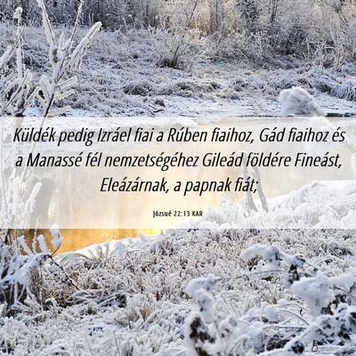 Picture 06 - Józsué 22:13 KAR - Küldék pedig Izráel fiai a Rúben fiaihoz, - Bible Verse Picture