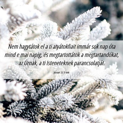 Picture 06 - Józsué 22:3 KAR - Nem hagytátok el a ti atyátokfiait immár sok - Bible Verse Picture