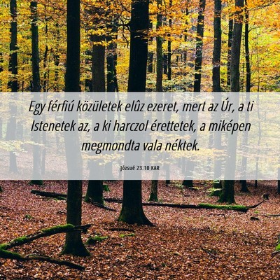 Picture 06 - Józsué 23:10 KAR - Egy férfiú közületek elûz ezeret, mert az - Bible Verse Picture