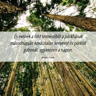 Picture 06 - Józsué 5:11 KAR - És evének a föld termésébõl a páskhának - Bible Verse Picture