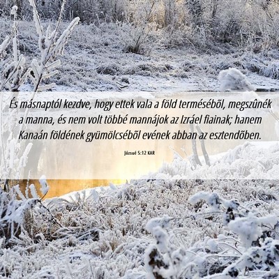 Picture 06 - Józsué 5:12 KAR - És másnaptól kezdve, hogy ettek vala a föld - Bible Verse Picture