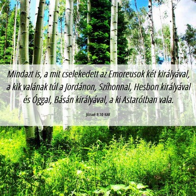 Picture 06 - Józsué 9:10 KAR - Mindazt is, a mit cselekedett az Emoreusok két - Bible Verse Picture