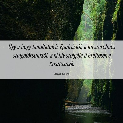 Picture 06 - Kolossé 1:7 KAR - Úgy a hogy tanultátok is Epafrástól, a mi - Bible Verse Picture