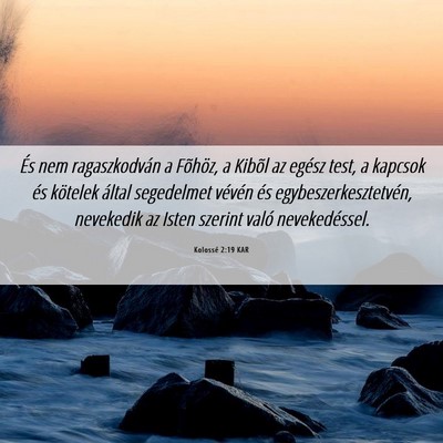 Picture 06 - Kolossé 2:19 KAR - És nem ragaszkodván a Fõhöz, a Kibõl az - Bible Verse Picture