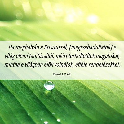 Picture 06 - Kolossé 2:20 KAR - Ha meghalván a Krisztussal, [megszabadultatok] e - Bible Verse Picture