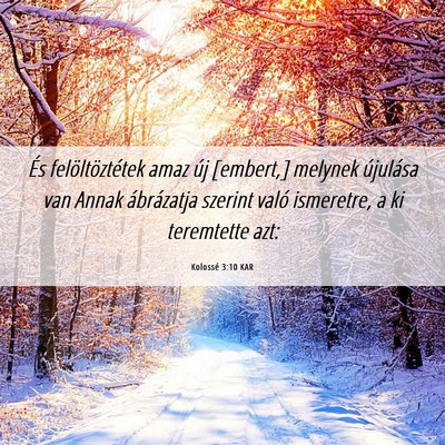 Picture 06 - Kolossé 3:10 KAR - És felöltöztétek amaz új [embert,] melynek - Bible Verse Picture