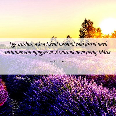 Picture 06 - Lukács 1:27 KAR - Egy szûzhöz, a ki a Dávid házából való - Bible Verse Picture