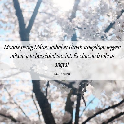 Picture 06 - Lukács 1:38 KAR - Monda pedig Mária: Imhol az Úrnak szolgálója; - Bible Verse Picture