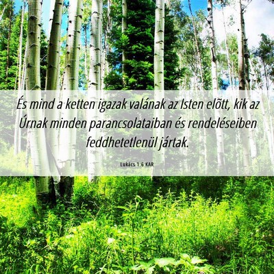 Picture 06 - Lukács 1:6 KAR - És mind a ketten igazak valának az Isten - Bible Verse Picture