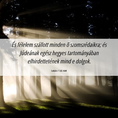 Picture 06 - Lukács 1:65 KAR - És félelem szállott minden õ szomszédaikra; - Bible Verse Picture