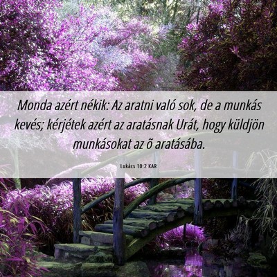 Picture 06 - Lukács 10:2 KAR - Monda azért nékik: Az aratni való sok, de a - Bible Verse Picture