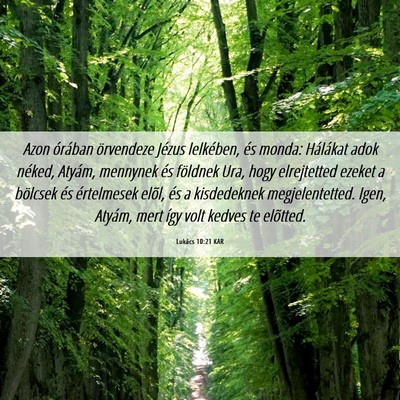 Picture 06 - Lukács 10:21 KAR - Azon órában örvendeze Jézus lelkében, és - Bible Verse Picture