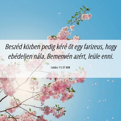 Picture 06 - Lukács 11:37 KAR - Beszéd közben pedig kéré õt egy farizeus, - Bible Verse Picture