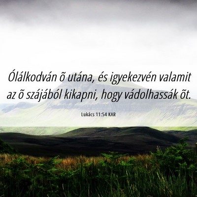 Picture 06 - Lukács 11:54 KAR - Ólálkodván õ utána, és igyekezvén valamit - Bible Verse Picture