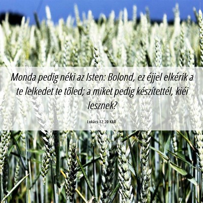 Picture 06 - Lukács 12:20 KAR - Monda pedig néki az Isten: Bolond, ez éjjel - Bible Verse Picture