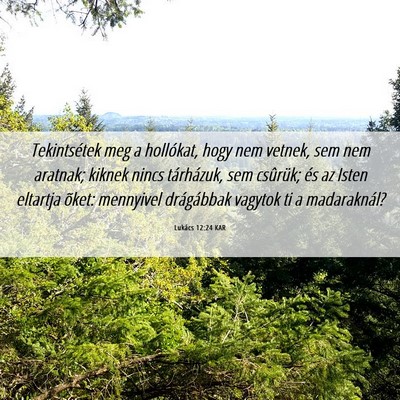 Picture 06 - Lukács 12:24 KAR - Tekintsétek meg a hollókat, hogy nem vetnek, - Bible Verse Picture