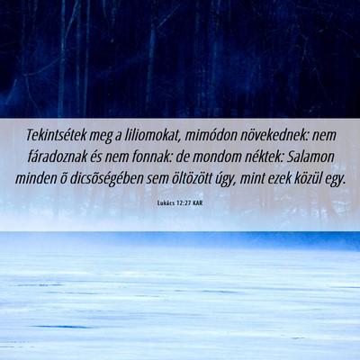 Picture 06 - Lukács 12:27 KAR - Tekintsétek meg a liliomokat, mimódon - Bible Verse Picture