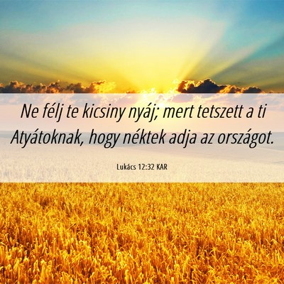 Picture 06 - Lukács 12:32 KAR - Ne félj te kicsiny nyáj; mert tetszett a ti - Bible Verse Picture