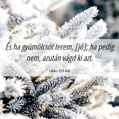 Picture 06 - Lukács 13:9 KAR - És ha gyümölcsöt terem, [jó]; ha pedig nem, - Bible Verse Picture