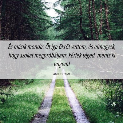Picture 06 - Lukács 14:19 KAR - És másik monda: Öt iga ökröt vettem, és - Bible Verse Picture