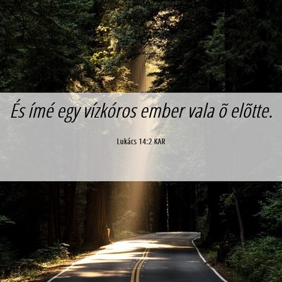 Picture 06 - Lukács 14:2 KAR - És ímé egy vízkóros ember vala õ - Bible Verse Picture