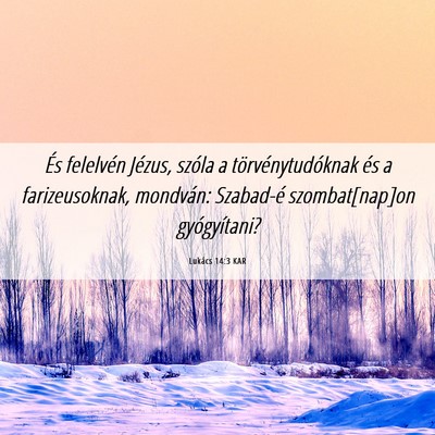 Picture 06 - Lukács 14:3 KAR - És felelvén Jézus, szóla a törvénytudóknak - Bible Verse Picture