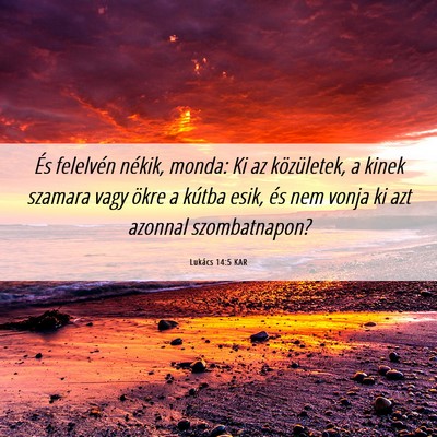 Picture 06 - Lukács 14:5 KAR - És felelvén nékik, monda: Ki az közületek, a - Bible Verse Picture
