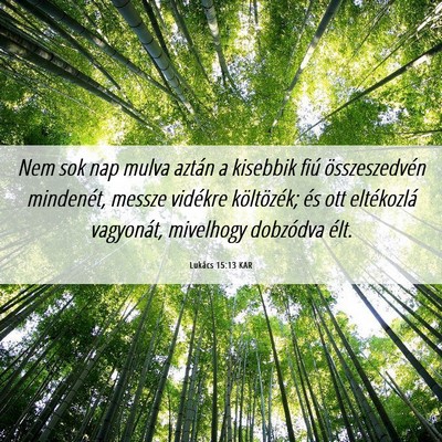 Picture 06 - Lukács 15:13 KAR - Nem sok nap mulva aztán a kisebbik fiú - Bible Verse Picture