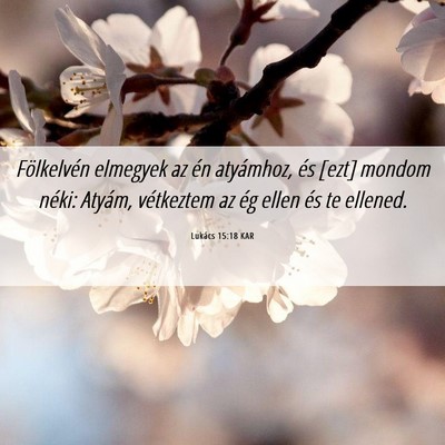 Picture 06 - Lukács 15:18 KAR - Fölkelvén elmegyek az én atyámhoz, és [ezt] - Bible Verse Picture
