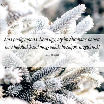 Picture 06 - Lukács 16:30 KAR - Ama pedig monda: Nem úgy, atyám Ábrahám; - Bible Verse Picture