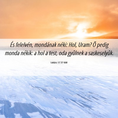 Picture 06 - Lukács 17:37 KAR - És felelvén, mondának néki: Hol, Uram? Õ - Bible Verse Picture