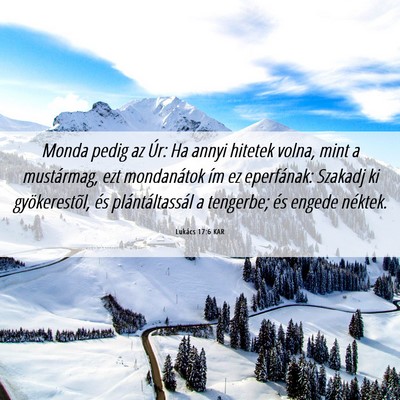 Picture 06 - Lukács 17:6 KAR - Monda pedig az Úr: Ha annyi hitetek volna, mint - Bible Verse Picture