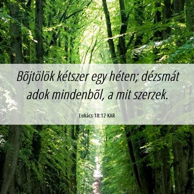 Picture 06 - Lukács 18:12 KAR - Bõjtölök kétszer egy héten; dézsmát adok - Bible Verse Picture