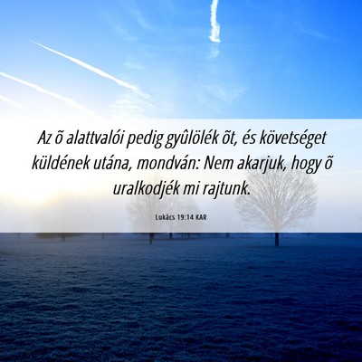 Picture 06 - Lukács 19:14 KAR - Az õ alattvalói pedig gyûlölék õt, és - Bible Verse Picture