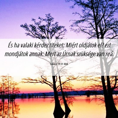 Picture 06 - Lukács 19:31 KAR - És ha valaki kérdez titeket: Miért oldjátok - Bible Verse Picture