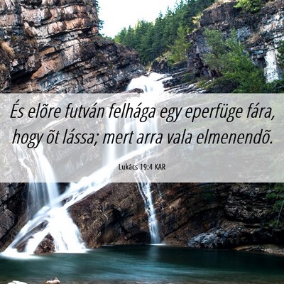 Picture 06 - Lukács 19:4 KAR - És elõre futván felhága egy eperfüge fára, - Bible Verse Picture