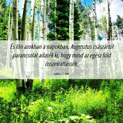 Picture 06 - Lukács 2:1 KAR - És lõn azokban a napokban, Augusztus - Bible Verse Picture