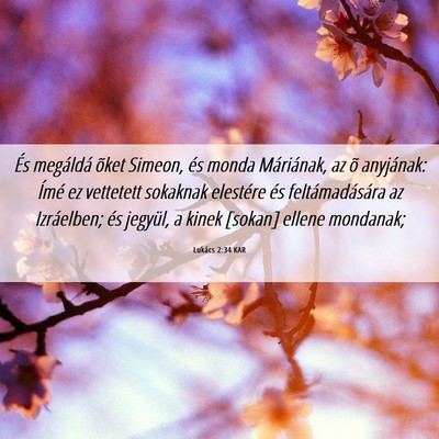 Picture 06 - Lukács 2:34 KAR - És megáldá õket Simeon, és monda Máriának, - Bible Verse Picture