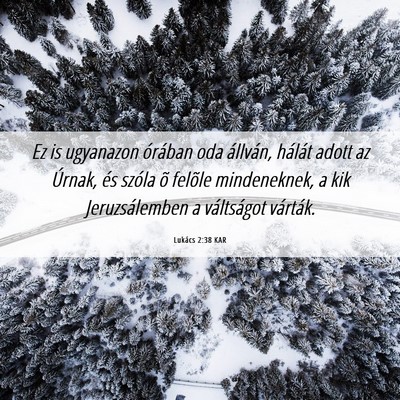 Picture 06 - Lukács 2:38 KAR - Ez is ugyanazon órában oda állván, hálát - Bible Verse Picture