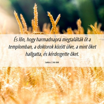 Picture 06 - Lukács 2:46 KAR - És lõn, hogy harmadnapra megtalálták õt a - Bible Verse Picture