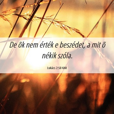Picture 06 - Lukács 2:50 KAR - De õk nem érték e beszédet, a mit õ nékik - Bible Verse Picture