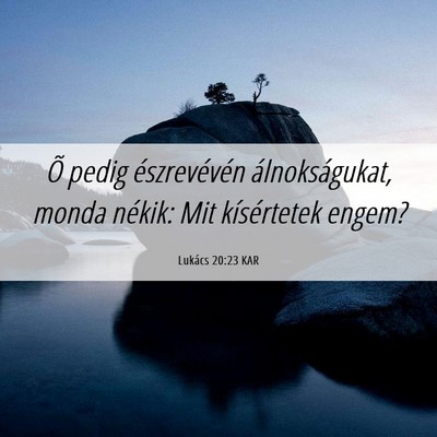 Picture 06 - Lukács 20:23 KAR - Õ pedig észrevévén álnokságukat, monda - Bible Verse Picture