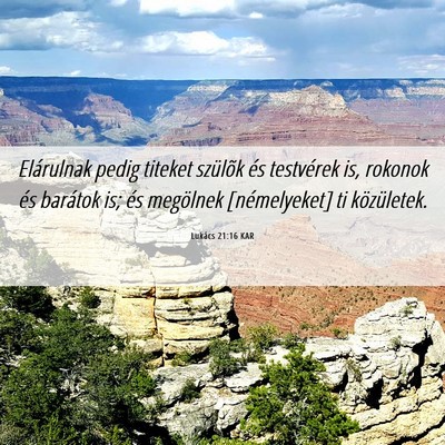 Picture 06 - Lukács 21:16 KAR - Elárulnak pedig titeket szülõk és testvérek - Bible Verse Picture