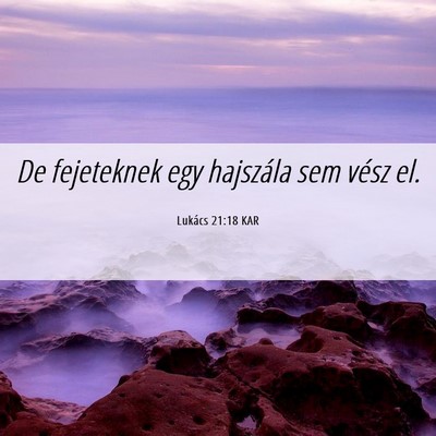 Picture 06 - Lukács 21:18 KAR - De fejeteknek egy hajszála sem vész - Bible Verse Picture