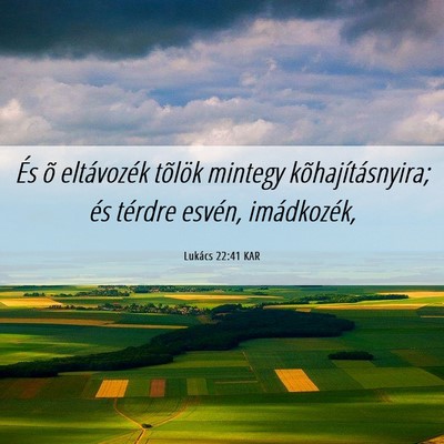 Picture 06 - Lukács 22:41 KAR - És õ eltávozék tõlök mintegy - Bible Verse Picture