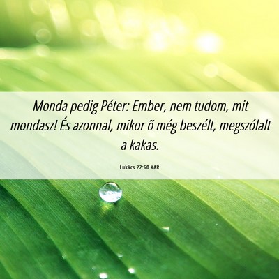Picture 06 - Lukács 22:60 KAR - Monda pedig Péter: Ember, nem tudom, mit - Bible Verse Picture