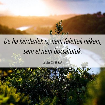 Picture 06 - Lukács 22:68 KAR - De ha kérdezlek is, nem feleltek nékem, sem el - Bible Verse Picture